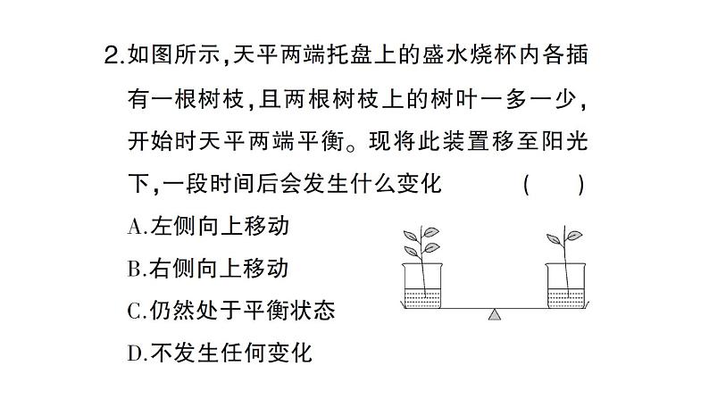 初中生物新北师大版七年级上册第3单元第4章第5节 蒸腾作用作业课件2024秋第6页