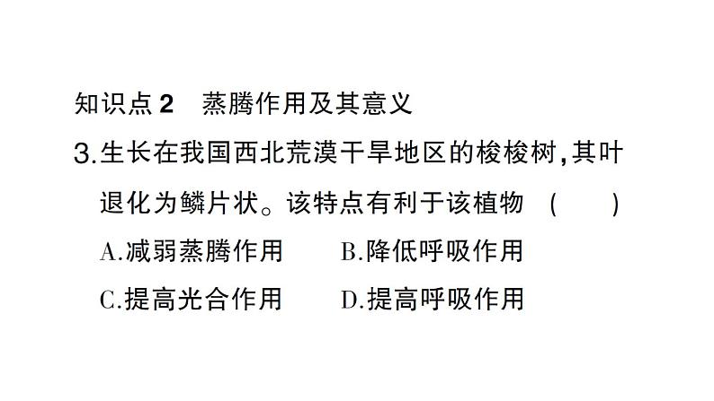 初中生物新北师大版七年级上册第3单元第4章第5节 蒸腾作用作业课件2024秋第7页
