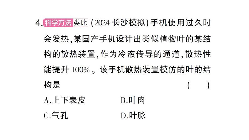 初中生物新北师大版七年级上册第3单元第4章第5节 蒸腾作用作业课件2024秋第8页