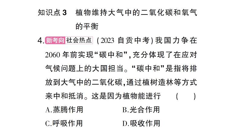 初中生物新北师大版七年级上册第3单元第4章第6节 植物在生物圈中的作用作业课件2024秋第8页