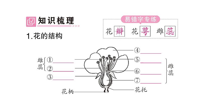 初中生物新北师大版七年级上册第3单元第5章第3节 生殖器官的生长作业课件2024秋第2页