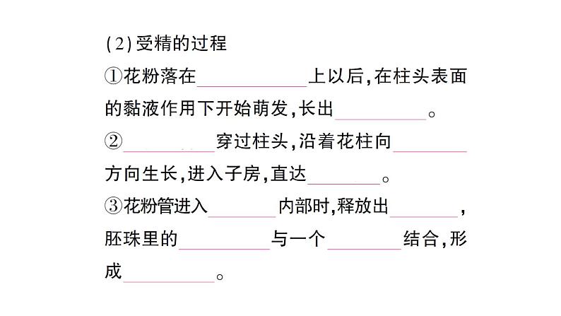 初中生物新北师大版七年级上册第3单元第5章第3节 生殖器官的生长作业课件2024秋第5页