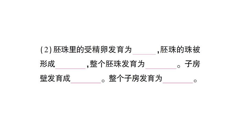 初中生物新北师大版七年级上册第3单元第5章第3节 生殖器官的生长作业课件2024秋第7页