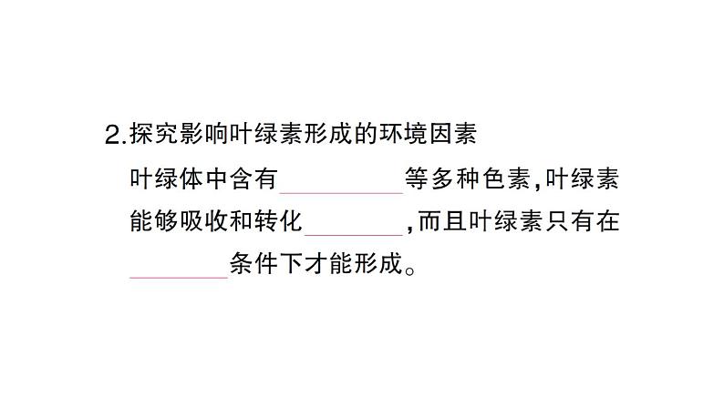 初中生物新北师大版七年级上册第3单元第4章第1节第2课时 叶与光合作用作业课件2024秋04