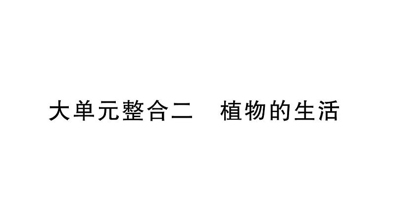 初中生物新北师大版七年级上册期末大单元整合二 植物的生活作业课件2024秋第1页