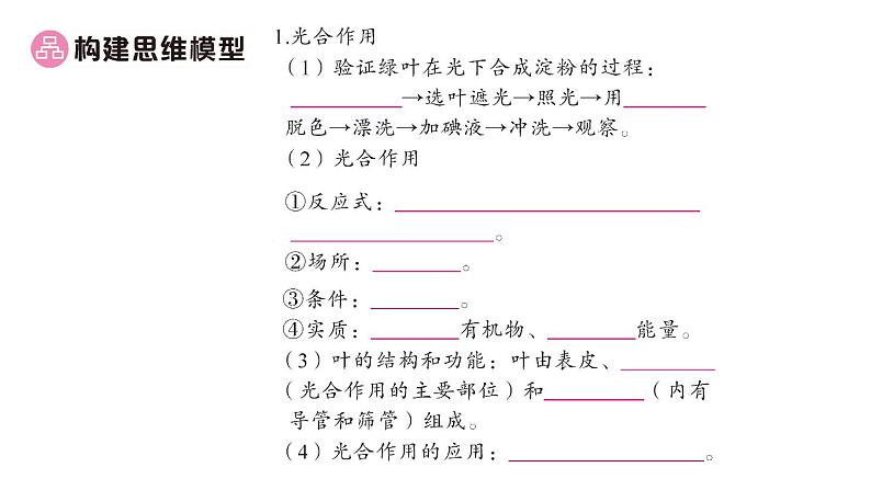 初中生物新北师大版七年级上册期末大单元整合二 植物的生活作业课件2024秋第2页