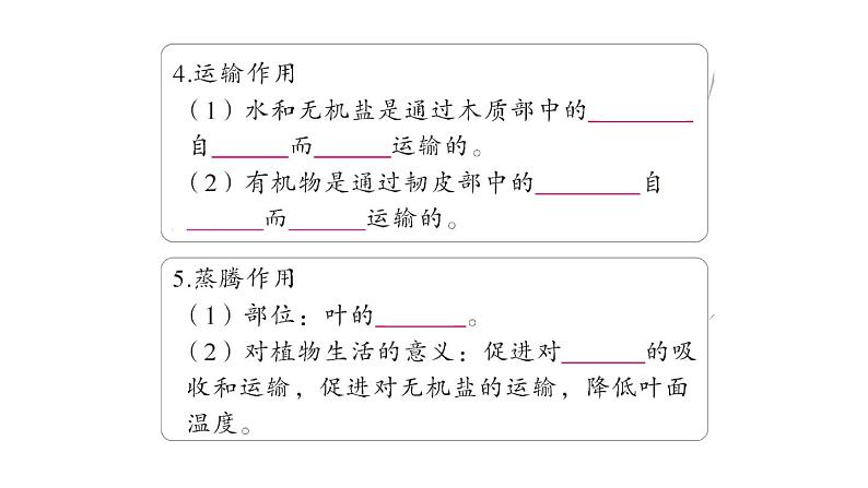 初中生物新北师大版七年级上册期末大单元整合二 植物的生活作业课件2024秋第5页