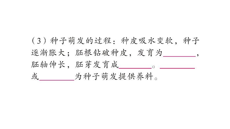 初中生物新北师大版七年级上册期末大单元整合二 植物的生活作业课件2024秋第8页