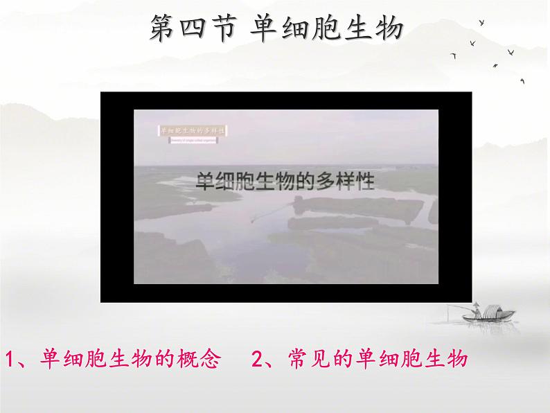 初中 生物 人教版(2024) 七年级上册 第一单元 生物和细胞 第三章第四节 单细胞生物 课件第1页