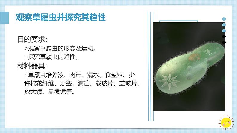 初中 生物 人教版(2024) 七年级上册 第一单元 生物和细胞 第三章第四节 单细胞生物 课件第5页