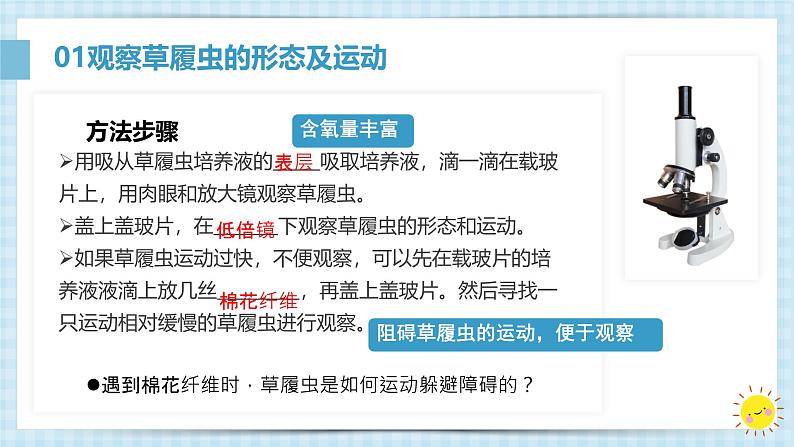 初中 生物 人教版(2024) 七年级上册 第一单元 生物和细胞 第三章第四节 单细胞生物 课件第6页