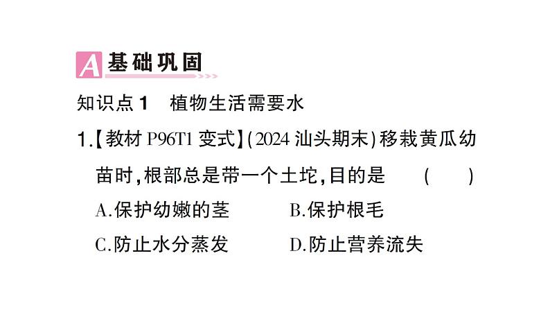 初中生物新北师大版七年级上册第3单元第4章第3节 吸收作用作业课件2024秋第6页