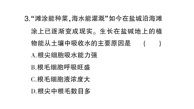 初中生物新北师大版七年级上册第3单元第4章第3节 吸收作用作业课件2024秋第8页