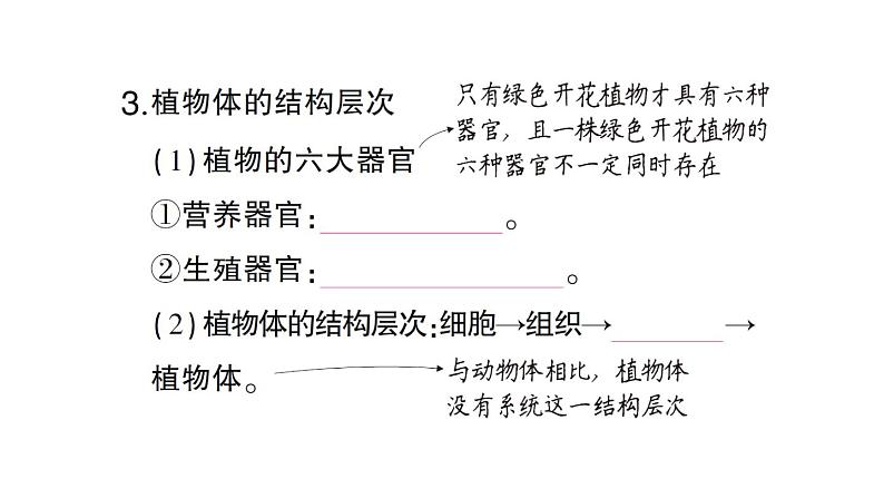 初中生物新北师大版七年级上册第2单元第3章第3节 生物体的器官、系统作业课件2024秋第4页