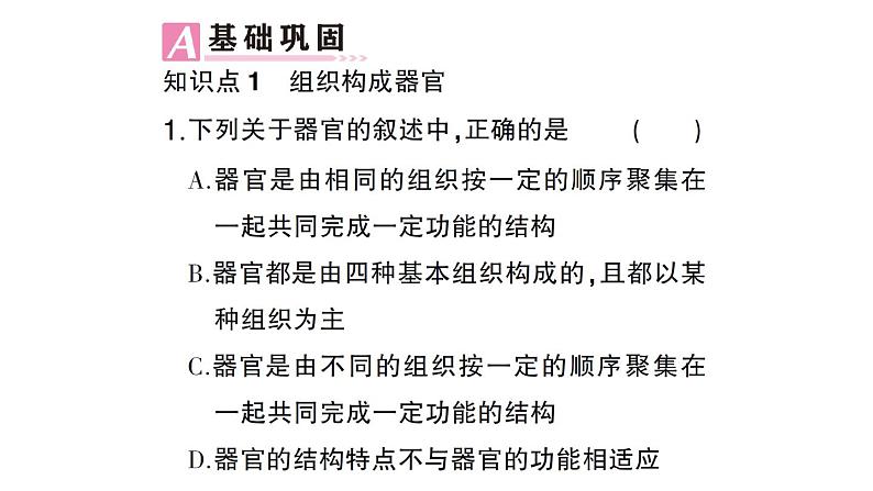 初中生物新北师大版七年级上册第2单元第3章第3节 生物体的器官、系统作业课件2024秋第5页
