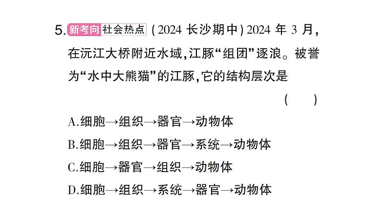 初中生物新北师大版七年级上册第2单元第3章第3节 生物体的器官、系统作业课件2024秋第8页