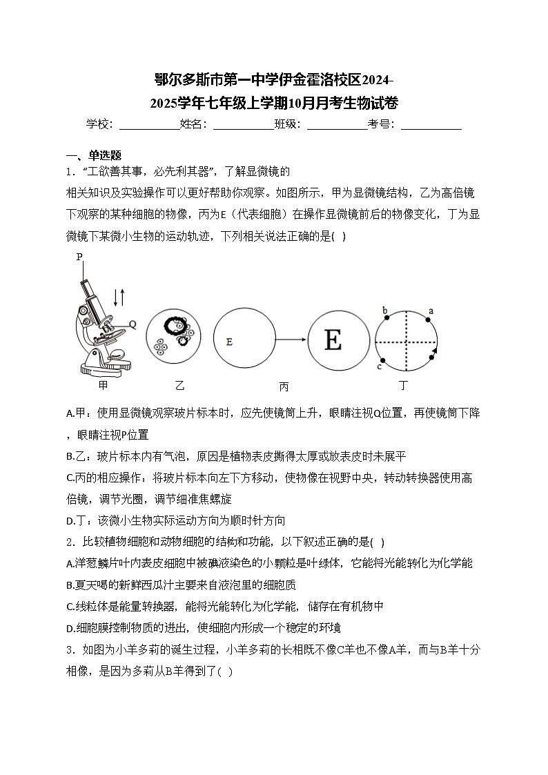 鄂尔多斯市第一中学伊金霍洛校区2024-2025学年七年级上学期10月月考生物试卷(含答案)第1页