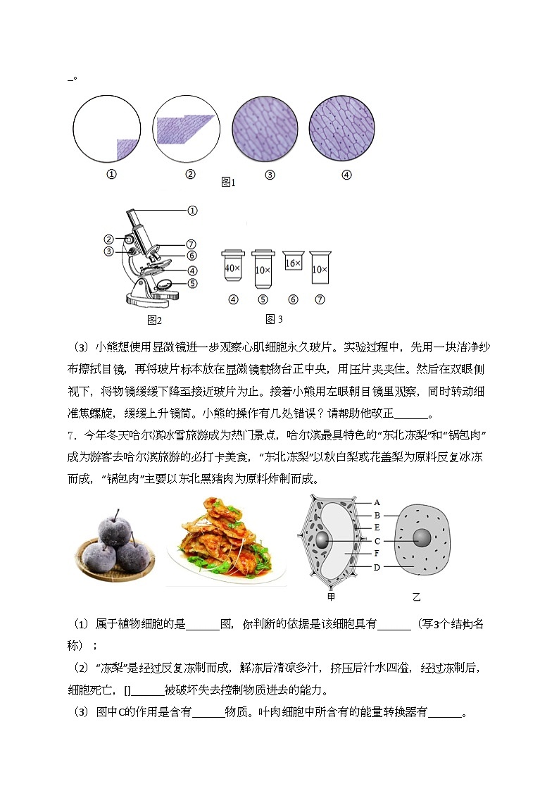 鄂尔多斯市第一中学伊金霍洛校区2024-2025学年七年级上学期10月月考生物试卷(含答案)第3页