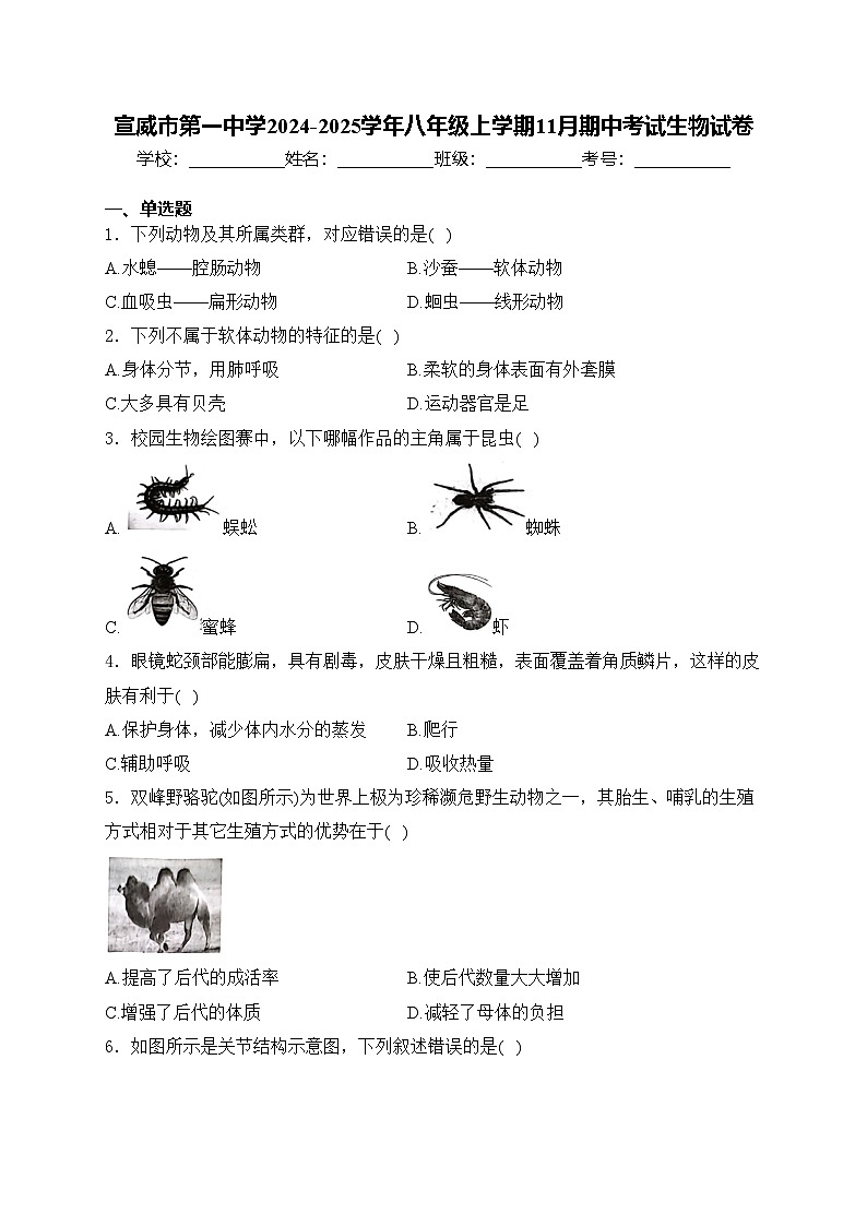 宣威市第一中学2024-2025学年八年级上学期11月期中考试生物试卷(含答案)第1页