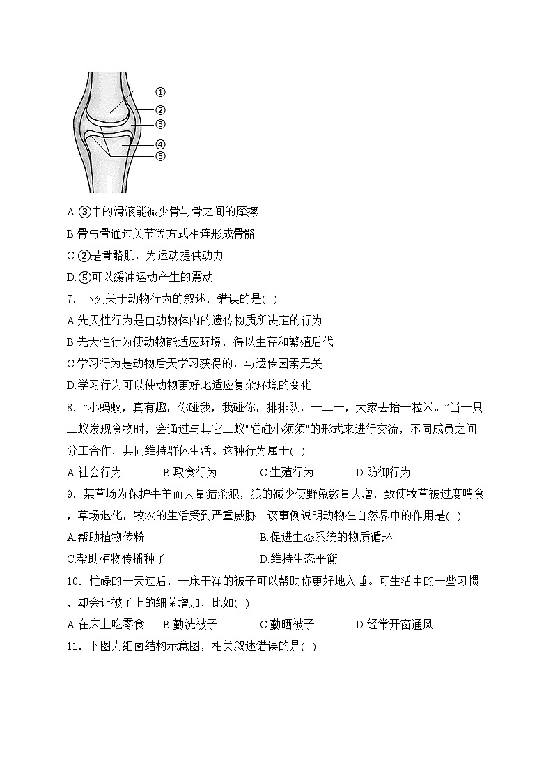 宣威市第一中学2024-2025学年八年级上学期11月期中考试生物试卷(含答案)第2页