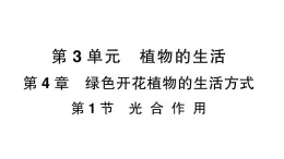 初中生物新北师大版七年级上册第3单元第4章 绿色开花植物的生活方式作业课件2024秋