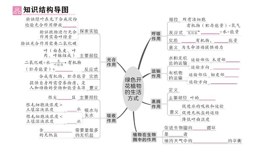 初中生物新北師大版七年級上冊第3單元第4章 綠色開花植物的生活方式總結(jié)訓練作業(yè)課件2024秋第2頁