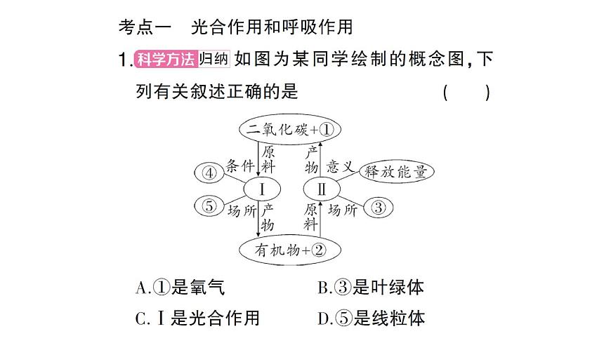 初中生物新北師大版七年級上冊第3單元第4章 綠色開花植物的生活方式總結(jié)訓練作業(yè)課件2024秋第4頁