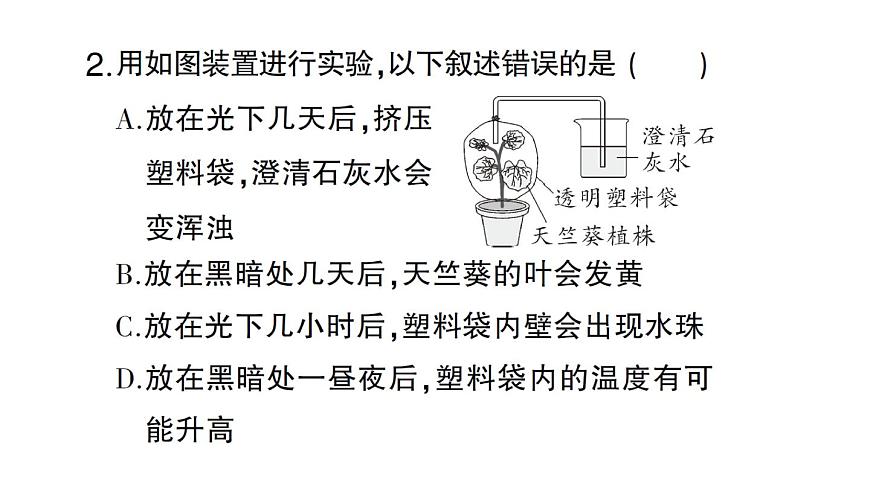 初中生物新北師大版七年級上冊第3單元第4章 綠色開花植物的生活方式總結(jié)訓練作業(yè)課件2024秋第5頁