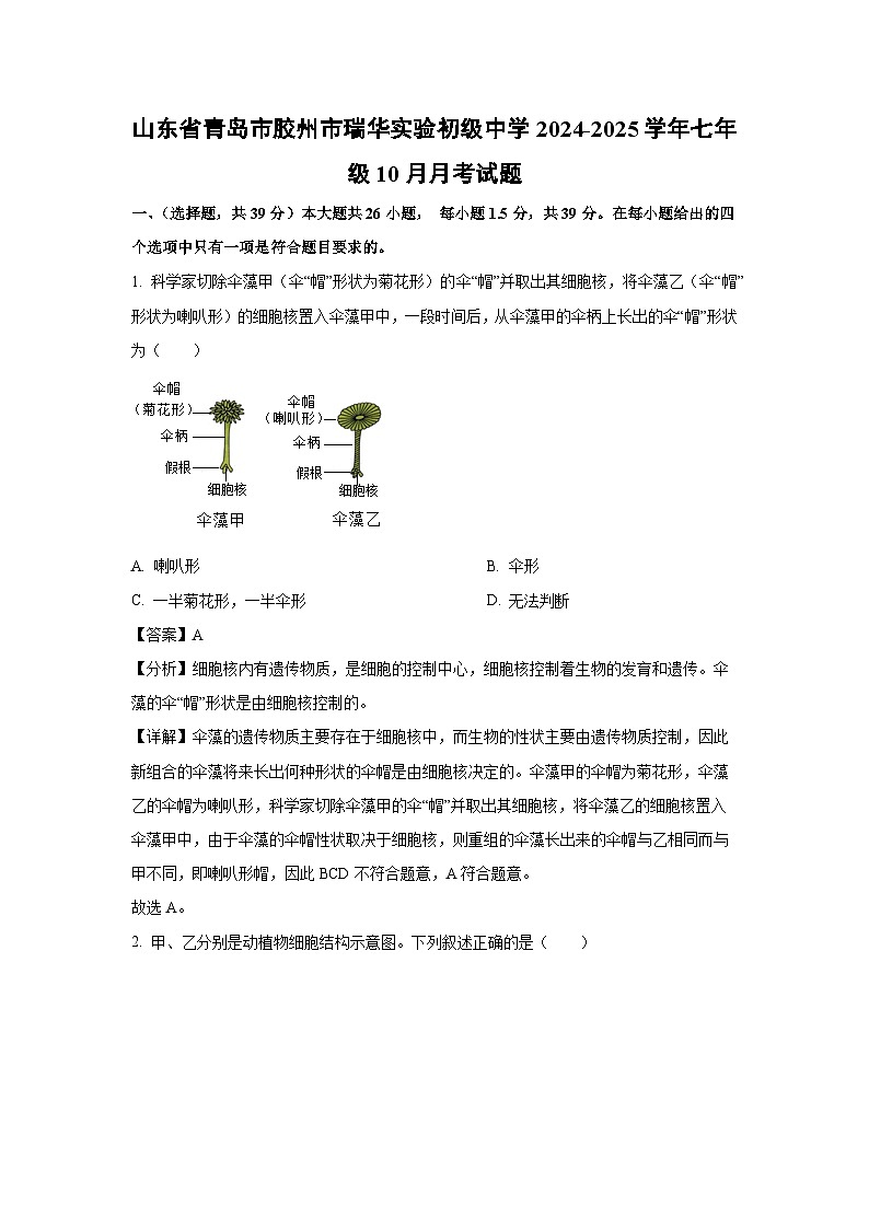 2024-2025学年山东省青岛市胶州市瑞华实验初级中学七年级(上)10月月考生物试卷(解析版)01
