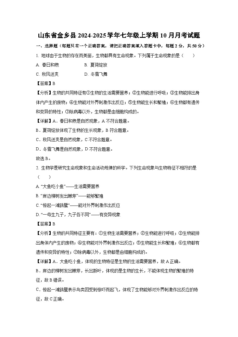 2024-2025学年山东省金乡县七年级(上)10月月考生物试卷(解析版)01