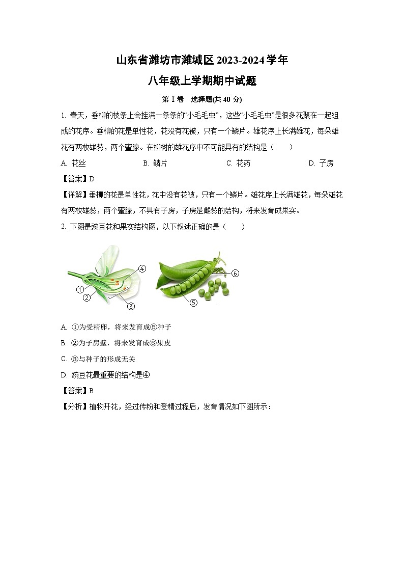 2023-2024学年山东省潍坊市潍城区八年级(上)期中生物试卷(解析版)第1页