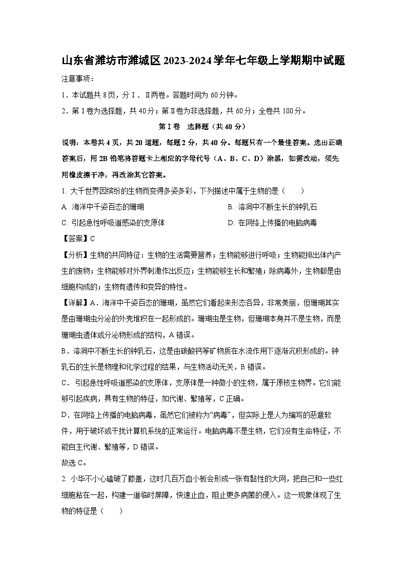 2023-2024学年山东省潍坊市潍城区七年级(上)期中生物试卷(解析版)01