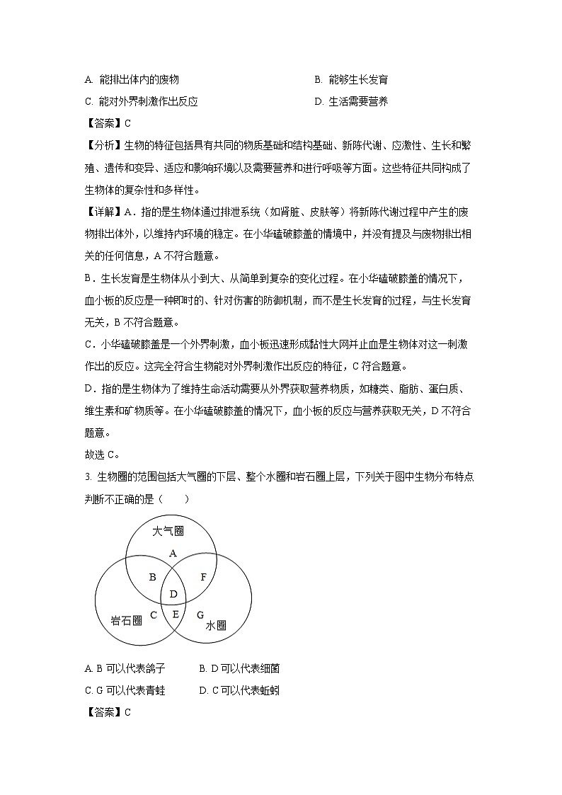 2023-2024学年山东省潍坊市潍城区七年级(上)期中生物试卷(解析版)02