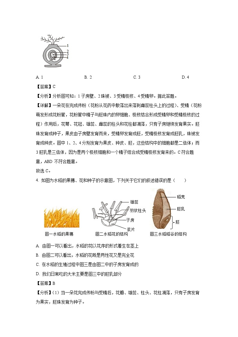2023-2024学年山东省潍坊市临朐县等八县区八年级(上)期中生物试卷(解析版)03