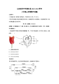 2023-2024學(xué)年山東省濟(jì)寧市泗水縣八年級(jí)(上)期中生物試卷(解析版)