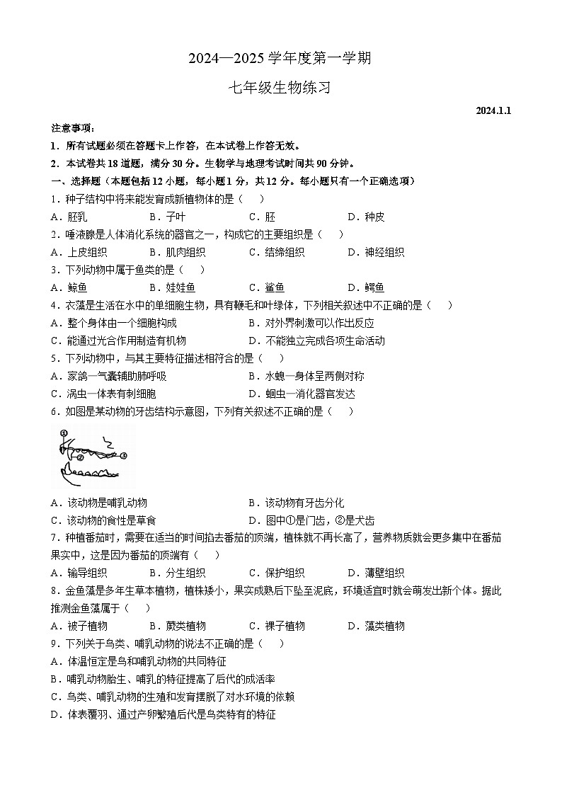 辽宁省大连市瓦房店市2024-2025学年七年级上学期期中生物学试题(无答案)第1页