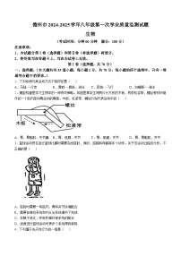 海南省儋州市2024-2025学年八年级上学期期中生物学试题(无答案)