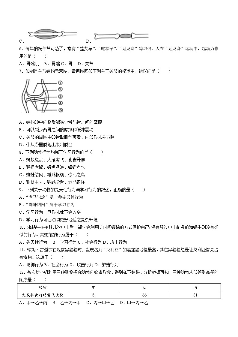 广东省梅州市大埔县2024-2025学年八年级上学期期中生物学试题第2页