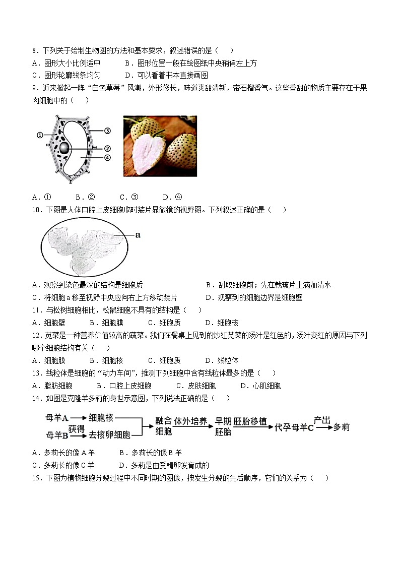 湖南省衡阳市华新实验中学2024-2025学年七年级上学期期中生物试题第2页