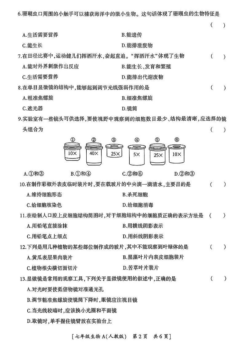 陕西省铜川市新区2024-2025学年七年级上学期期中检测生物试题02