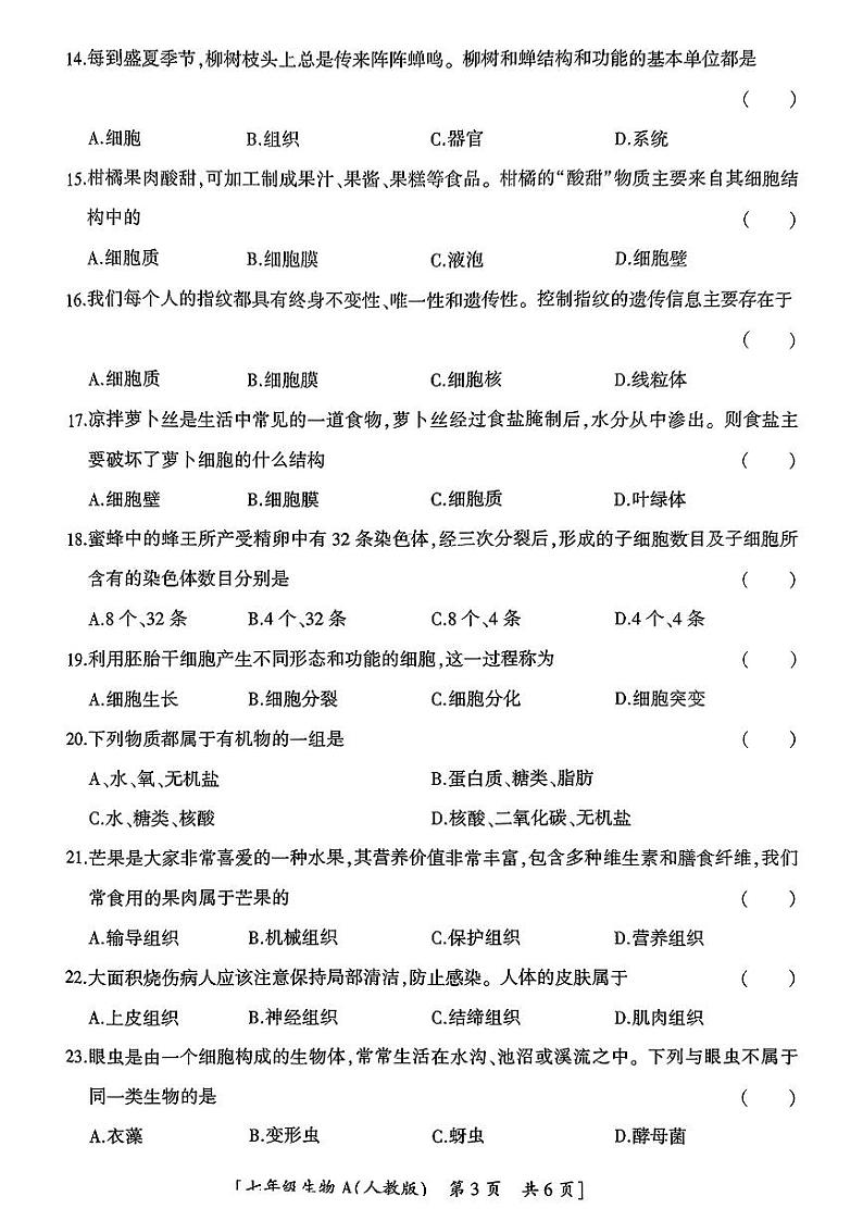 陕西省铜川市新区2024-2025学年七年级上学期期中检测生物试题03