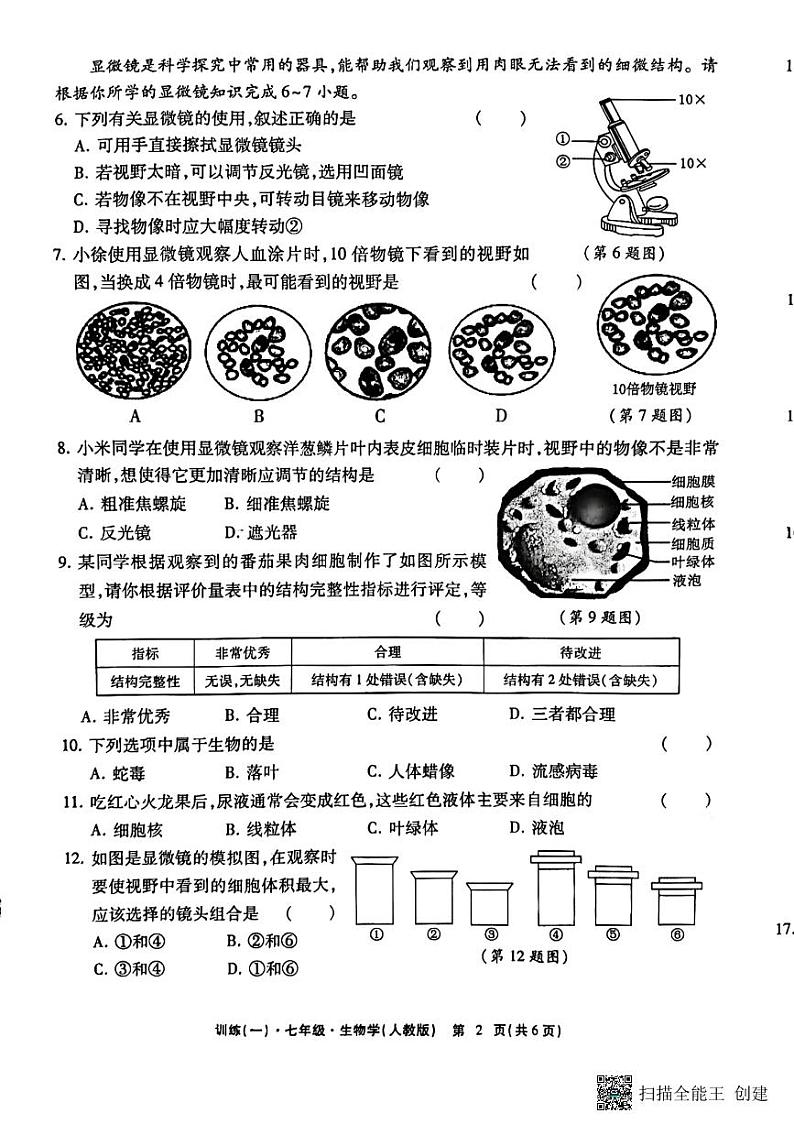 江西省上饶市鄱阳二中2024-2025学年七年级上学期期中生物试卷第2页