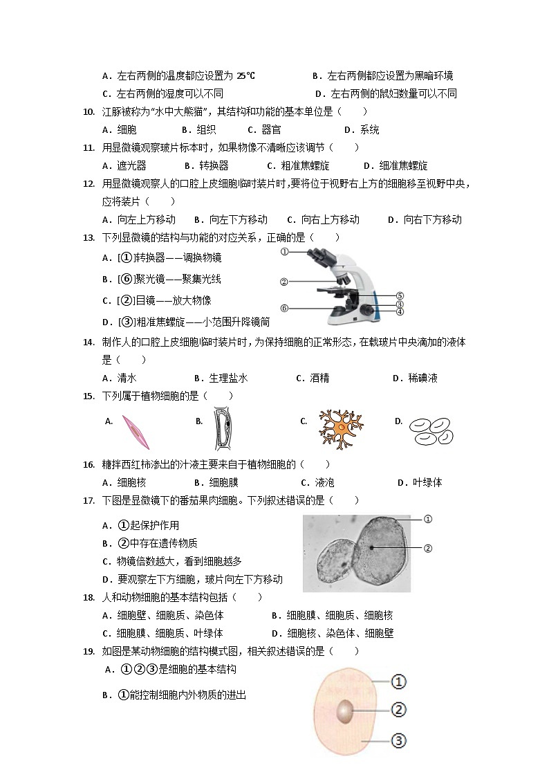 广东省珠海市香洲区立才学校2024-2025学年七年级上学期期中考试生物试题第2页