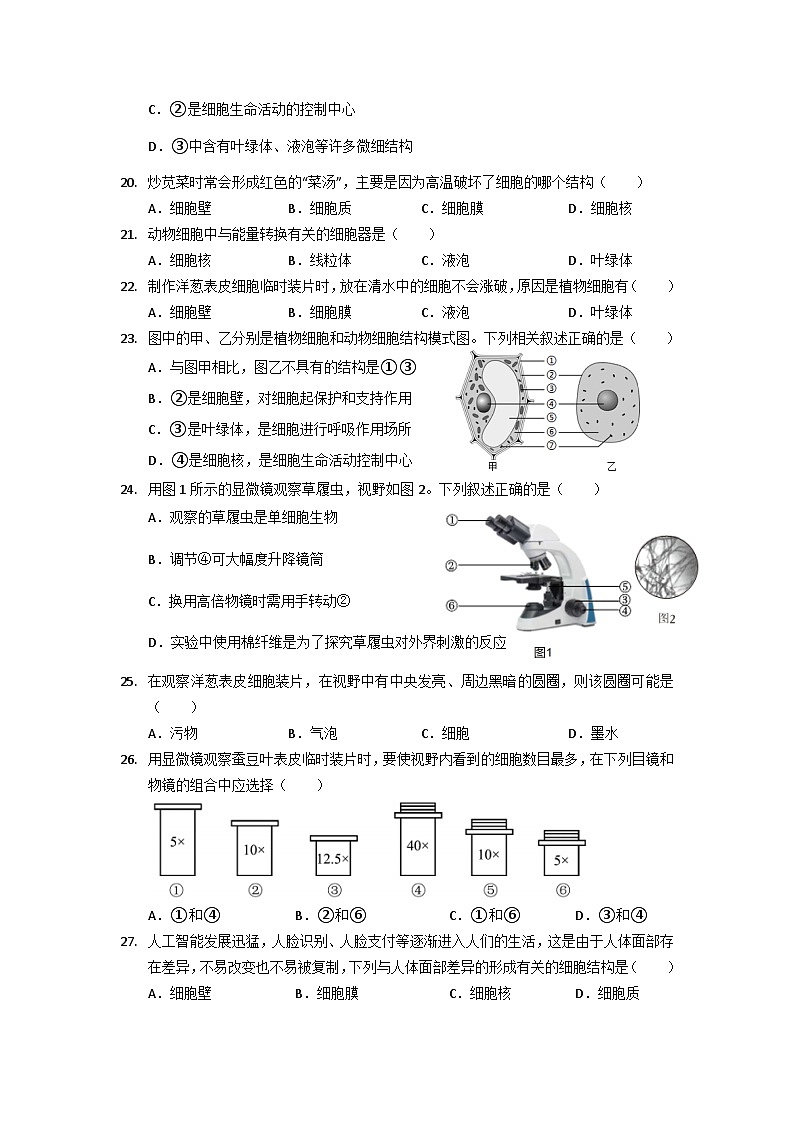 广东省珠海市香洲区立才学校2024-2025学年七年级上学期期中考试生物试题第3页