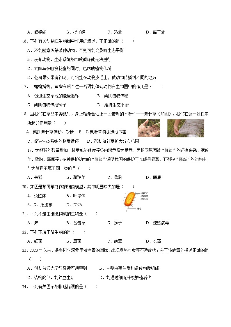 广东省珠海市香洲区立才学校2024-2025学年八年级上学期期中考试生物试题第3页