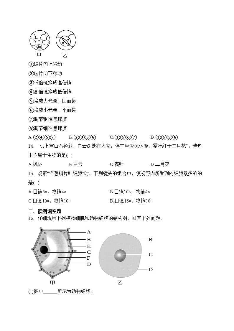 山西省临汾市洪洞县第二中学校2024-2025学年七年级上学期10月月考生物试卷(含答案)03