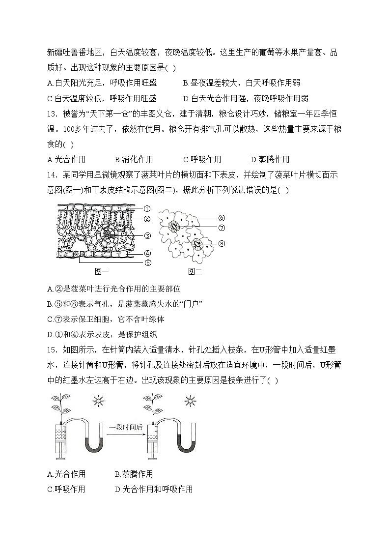 重庆市江津第二中学十校联考2024-2025学年八年级上学期期中测试生物试卷(含答案)第3页