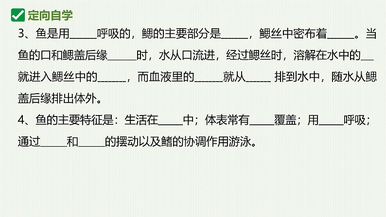 人教版生物七年级上册2.2.2《脊椎动物-鱼》(课件)第6页
