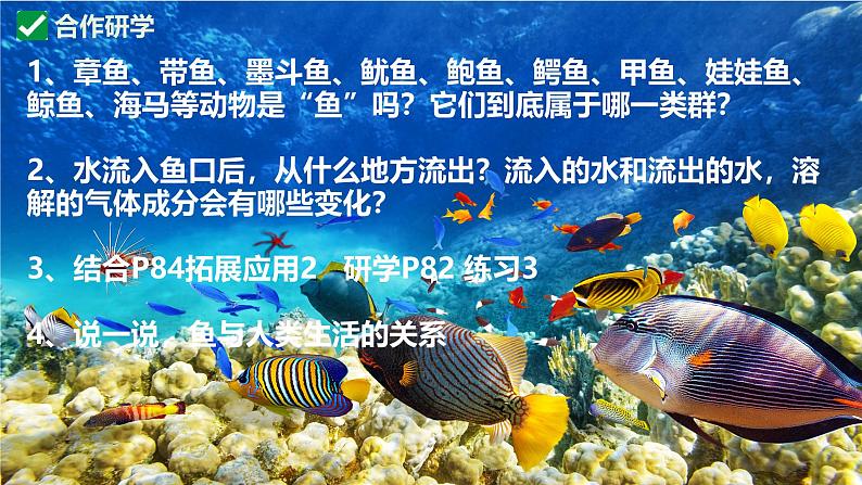 人教版生物七年级上册2.2.2《脊椎动物-鱼》(课件)第7页