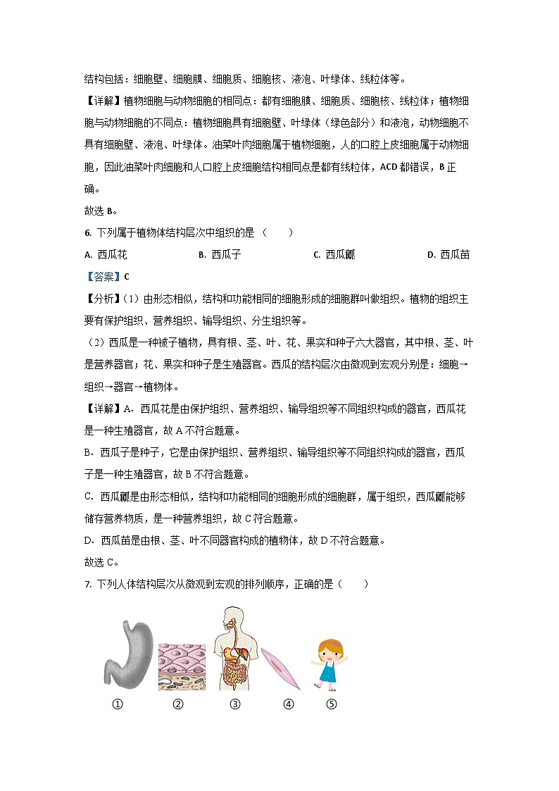 2023-2024学年山东省威海荣成市实验联盟八年级(上)期中生物试卷(解析版)第3页